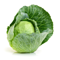 shutterstock_316374041.jpg