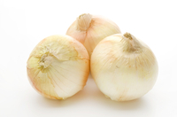 shutterstock_575917630.jpg
