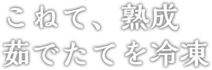 こねて、熟成。ゆでたてを冷凍