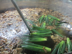 タンメンスープ炊き出しのサムネイル画像