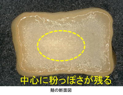 麺の断面図(味噌煮込み).png